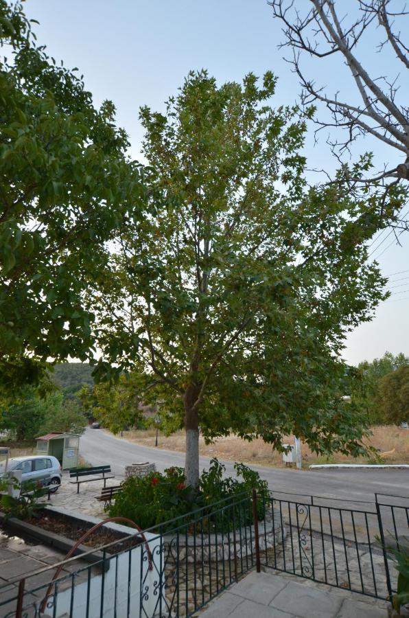 Domenica House Διαμέρισμα Kondaraíni Εξωτερικό φωτογραφία